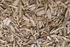 biomass boilers Burntwood